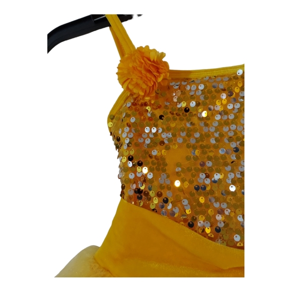 Curtain Call Costumes CXS Gold Silver Sequin Velvet Multi Layered Ballet Tutu - Picture 10 of 13